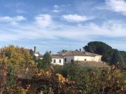 Top Piedimonte Etneo