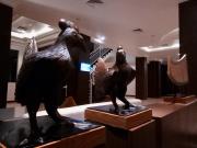 Top Luwuk
