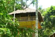 Kalidasa Tree House and Villa, Wayanad