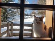 Top Camporosso in Valcanale