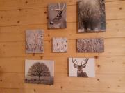 Top Saint-Jean-dʼAulps