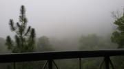 Top Bukit Tinggi