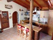 Top Lomo de Arico Top Lomo de Arico