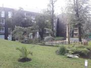 Top Pucón Top Pucón