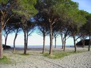 Top Budoni