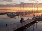 Top Bruinisse Top Bruinisse