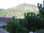 Top Pontones Top Pontones