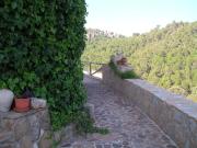 Top Pontones Top Pontones