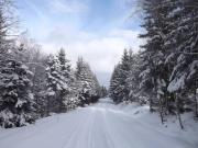 Top Kovářská Top Kovářská