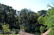 Top Monte Verde