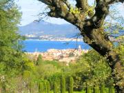 Top Saint-Tropez