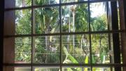 Top Cochin