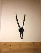 Top Villars-sur-Ollon