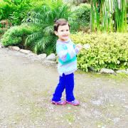Top Huigra