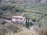 Top Levanto