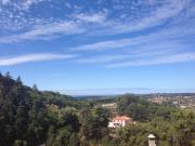 Top Sintra