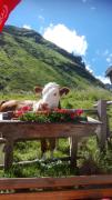 Top Bad Hofgastein