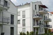 Top Binz