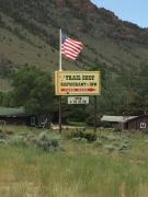 Top Wapiti