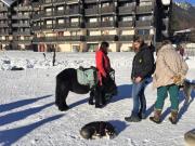 Top Chamonix-Mont-Blanc