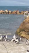 Top Gordonʼs Bay