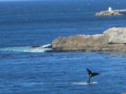 Top Gordonʼs Bay