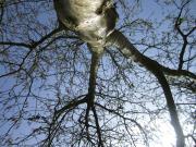 Top Durbuy Top Durbuy