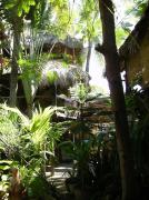 Castillo Oasis Castillo Oasis