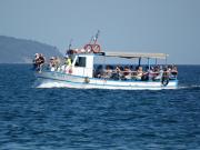 Top Sunny Beach