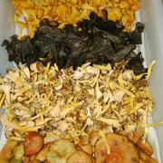 Top Casar de Palomero Top Casar de Palomero