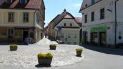 Top Radovljica