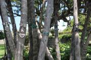 Top Shelly Beach
