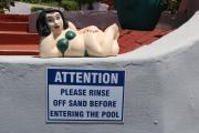 Top Shelly Beach