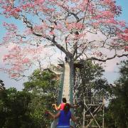 Paradise Amazon Tambopata Ecolodge