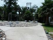 Top La Serena Top La Serena