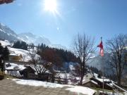 Top Wengen