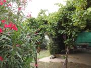 Top Las Grutas