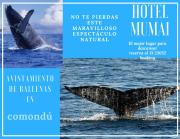 Top Ciudad Constitución