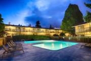 Top Bellevue