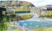 Top Rhodes