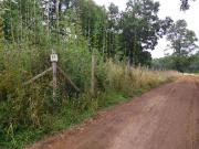 Top Pucón Top Pucón