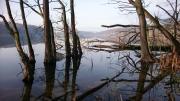 Top Garz-Usedom