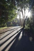 Top Natureʼs Valley