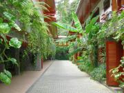 Top Nova Friburgo