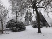 Top Düshorn Top Düshorn