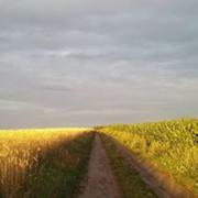 Top Działek Top Działek