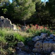 Top La Franqui-Plage