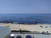 Top Póvoa de Varzim Top Póvoa de Varzim