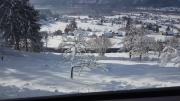 Top Bad Goisern