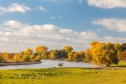 Top Zutphen